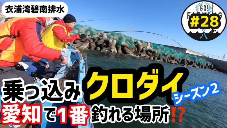 衣浦碧南温排水シリーズ